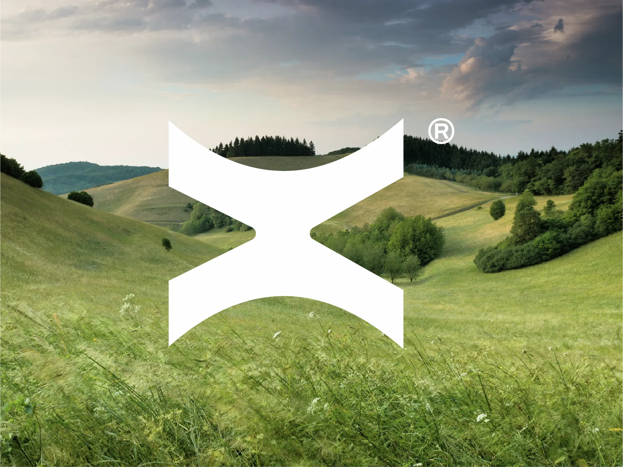 Energex Solar